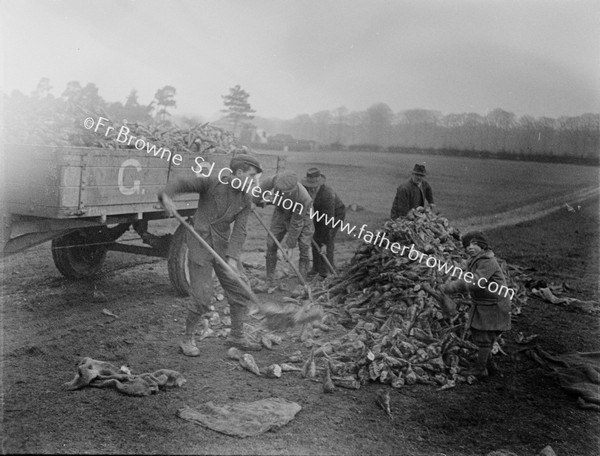 BEET WORKERS LOAD GSR TRUCK